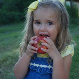 Eating apples at Sunrise Orchards