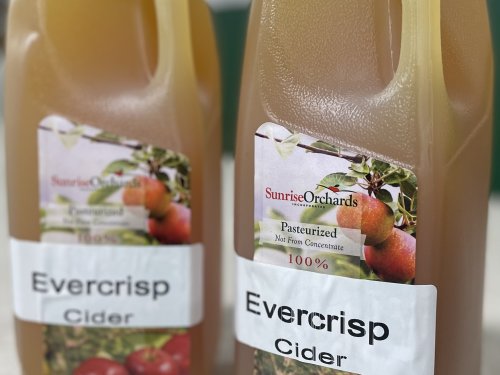 Sunrise EverCrisp Apple Cider