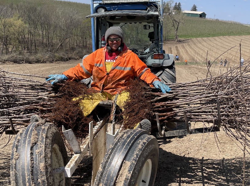 Jani Olson Plants Apple Trees Spring of 2021