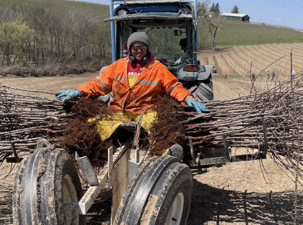 Jani Olson Plants Apple Trees Spring of 2021