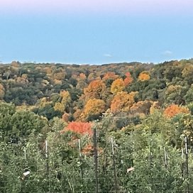 Autumn at Sunrise Orchards