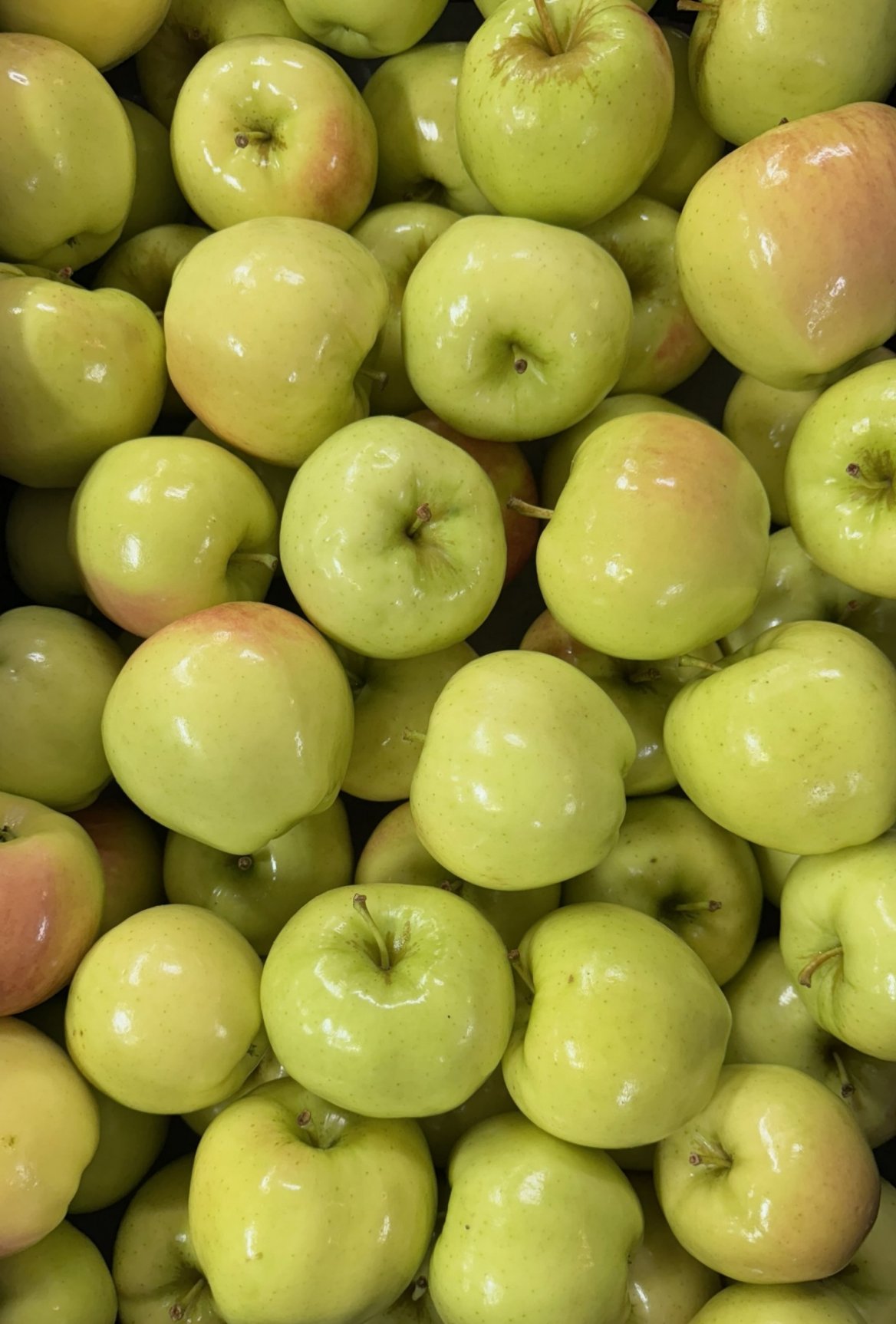 Ginger Gold Apples In Stock at Sunrise Orchards Only (Not at Hillcrest)