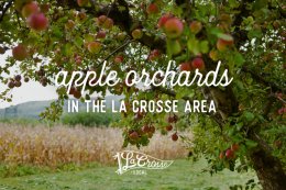 Sunrise Orchards in an Area Guide to Apple Orchards