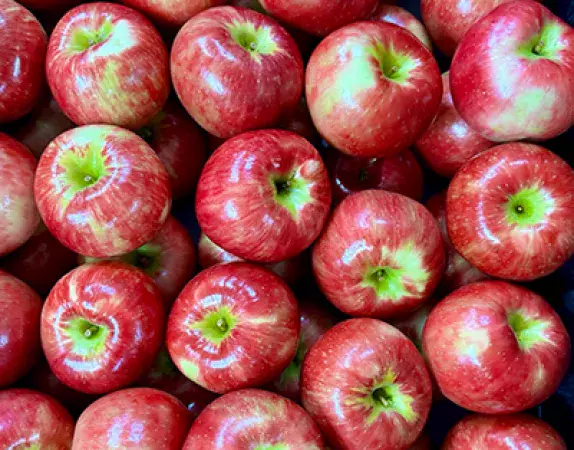 Honeycrisp apples