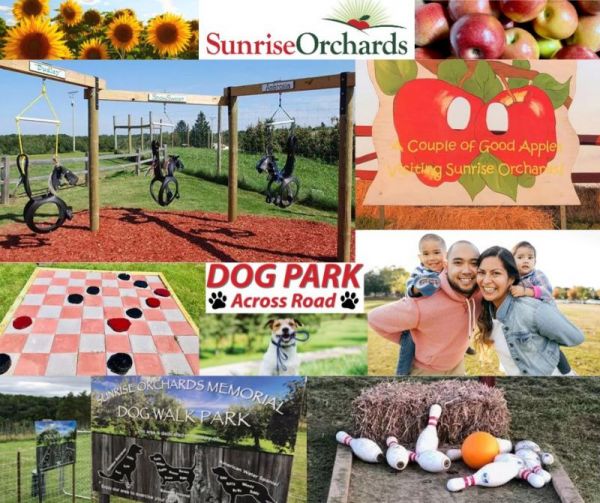 Fun Things to do at Sunrise Orchards (Main Location)!