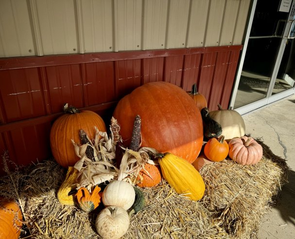 🎃It’s Pumpkin Weekend at Sunrise Orchards + Contest Oct 19th -20th from 9am to 5pm🍂