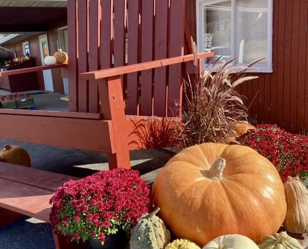 🎃It’s Pumpkin Weekend at Sunrise Orchards + Contest Oct 19th -20th from 9am to 5pm🍂