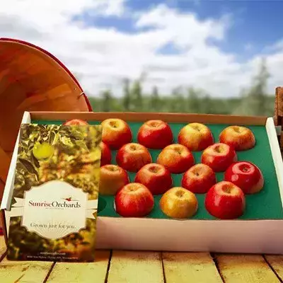 Order Your Sunrise Orchards Wisconsin Shippable Apple Gift Boxes Today!