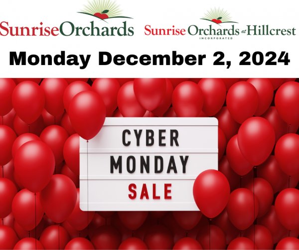 Cyber Monday SALE Dec. 2nd, 2024: 9am - 4pm!