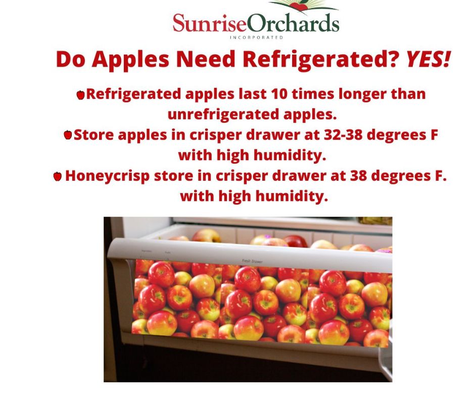 Do Apples Need Refrigerated?